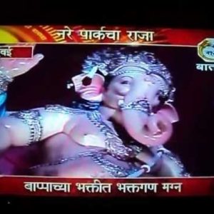 Parelcha Raja,नरेपार्कचा राजा 2012,(On Mi Marathi News Channel)